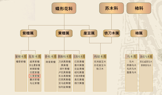 红木5属8类图谱 友联红木